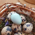 Biobauernhof Schoettelbauer 农家乐 *