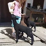 农家乐 Biobauernhof Schoettelbauer