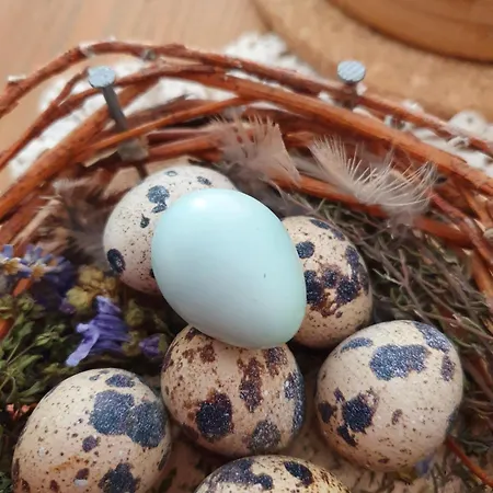 Biobauernhof Schoettelbauer בית חווה *