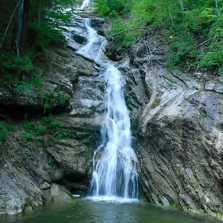 Biobauernhof Schoettelbauer