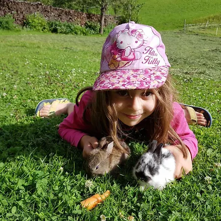 Biobauernhof Schoettelbauer Rosenau am Hengstpass