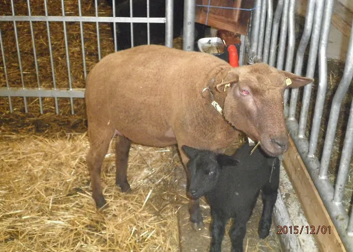 Biobauernhof Schoettelbauer Séjour à la ferme