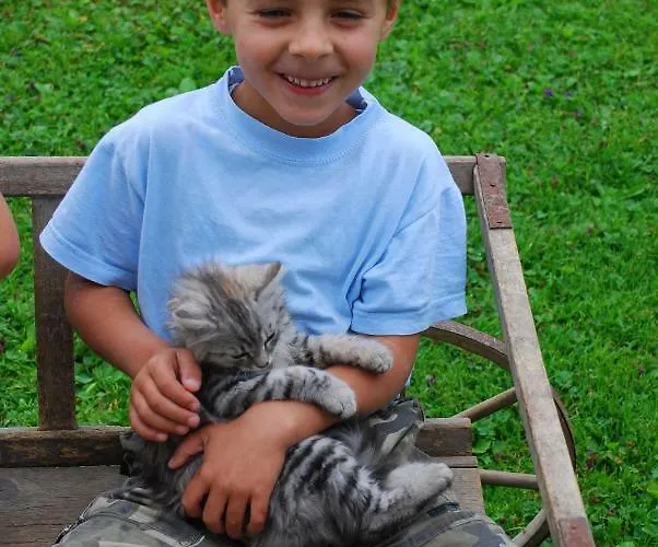 Biobauernhof Schoettelbauer 农家乐 *