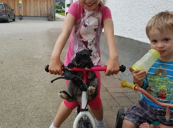 Biobauernhof Schoettelbauer