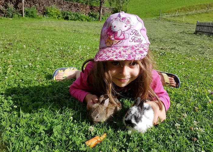 Biobauernhof Schoettelbauer Rosenau am Hengstpass