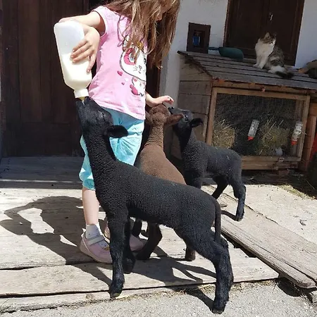 Vakantieboerderij Biobauernhof Schoettelbauer